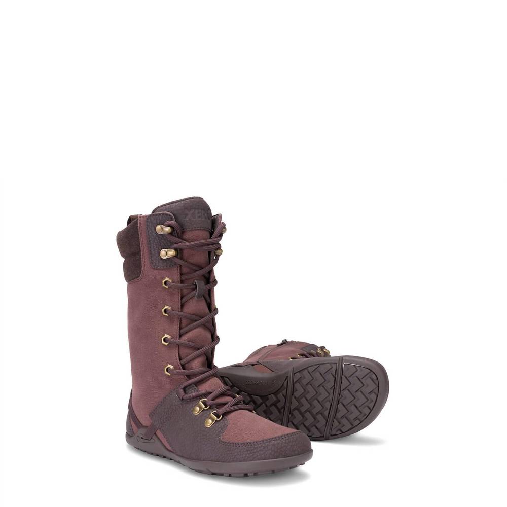 Mika Women's Winter Boots - Brown
